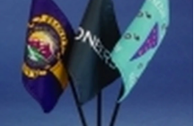 Image of Miniature Flags